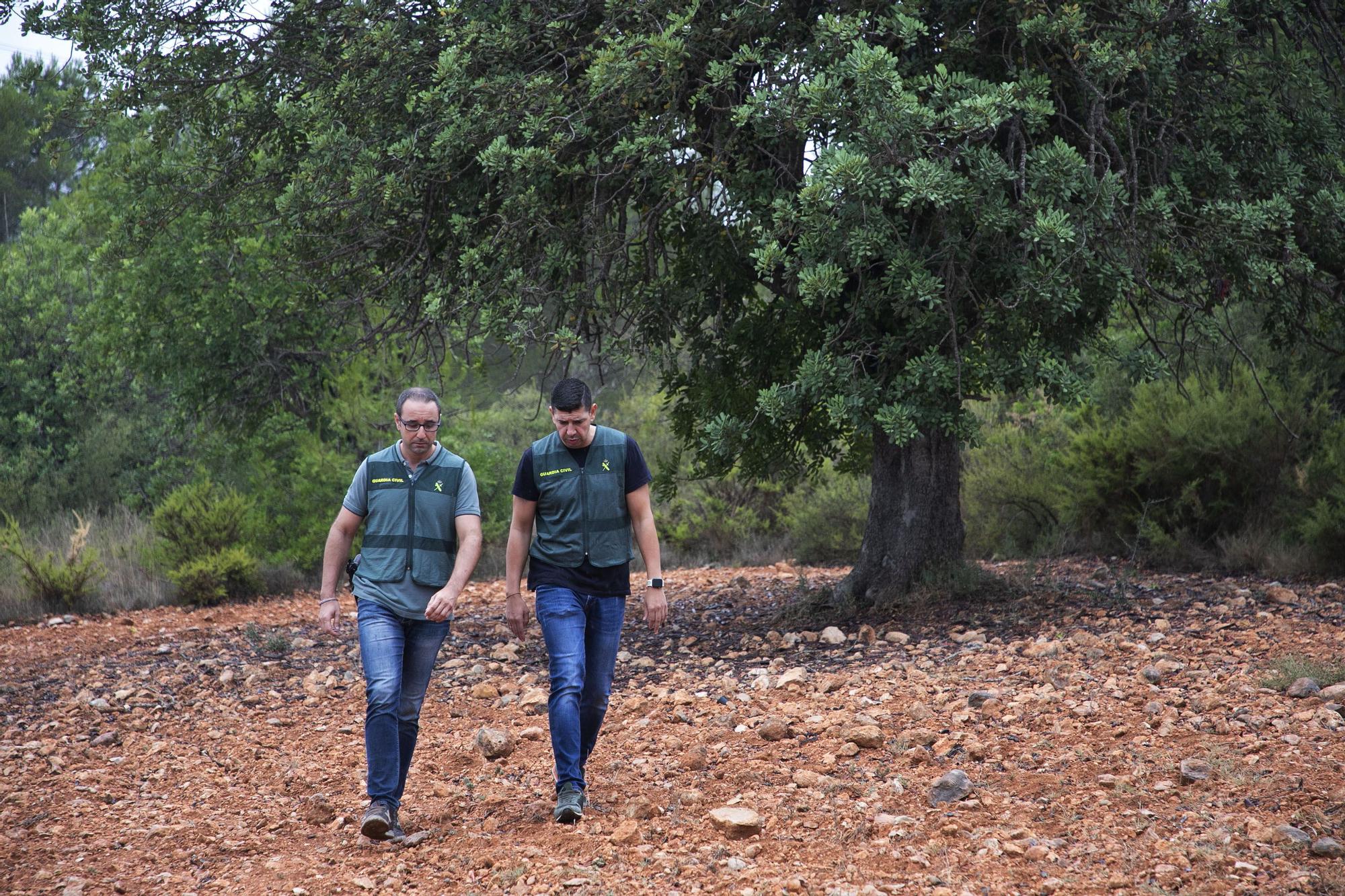 El equipo ROCA de la Guardia Civil vigila los delitos cometidos en el campo