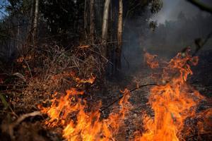 GRAF9458  RAMALES DE LA VICTORIA  CANTABRIA   18 02 2019 - Llamas de un incendio en los montes proximos a la localidad cantabra de Ramales de la Victoria  cuya comunidad ha sufrido un centenar de incendios de los cuales mas de 30 se mantienen aun activos  EFE Pedro Puente Hoyos