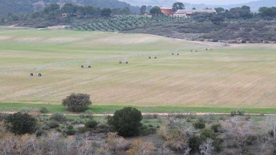 Extremadura contribuye al desarrollo de una plataforma web para automatizar el riego de cultivos