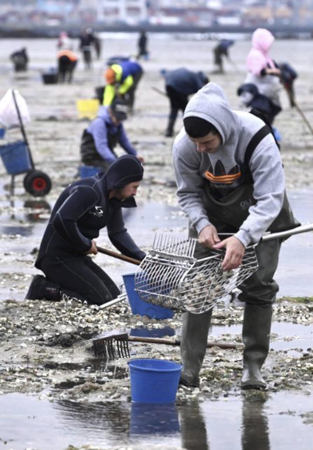 Marisqueo a pie en la ría. | RAFA VÁZQUEZ