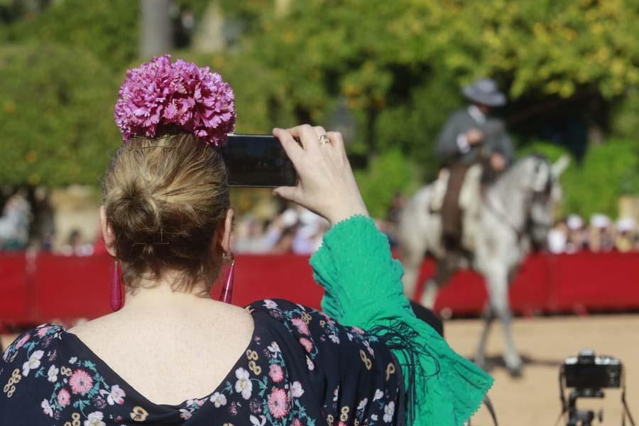 Caballos en el Alcázar