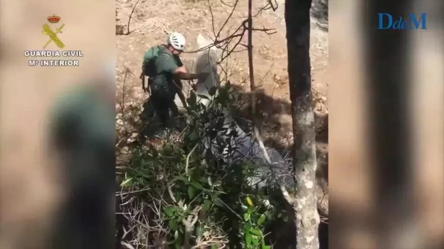 Pferd aus missicher Lage gerettet