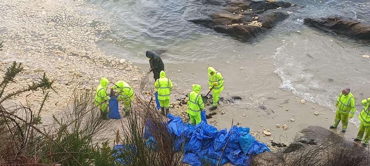 Trabajos sobre el terreno a lo largo de esta mañana.