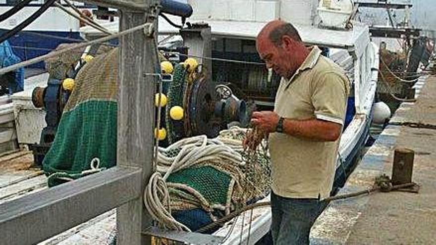 Palamós obre la veda de peix blau amb preocupació  per la talla de l&#039;anxova