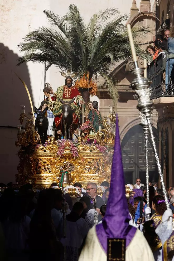 La Pollinica abrirá las puertas de la Catedral el Domingo de Ramos