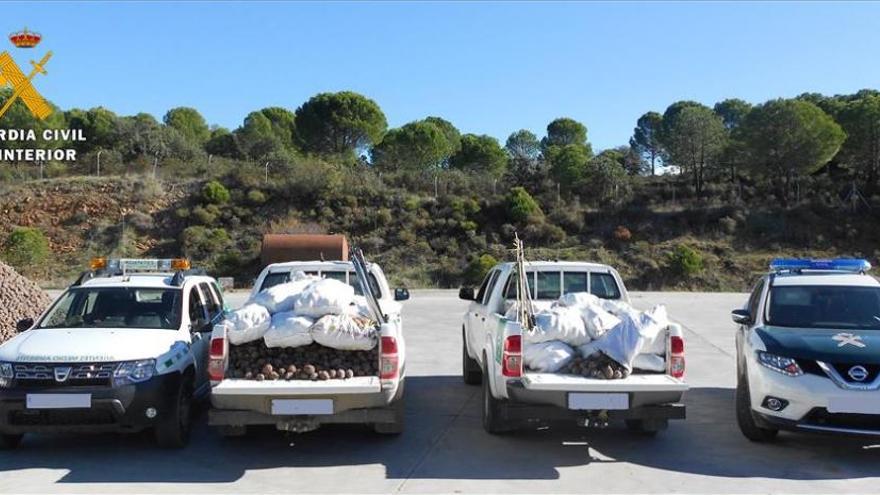 La Guardia Civil investiga a 17 personas por hurtar 1.300 kilos de piña