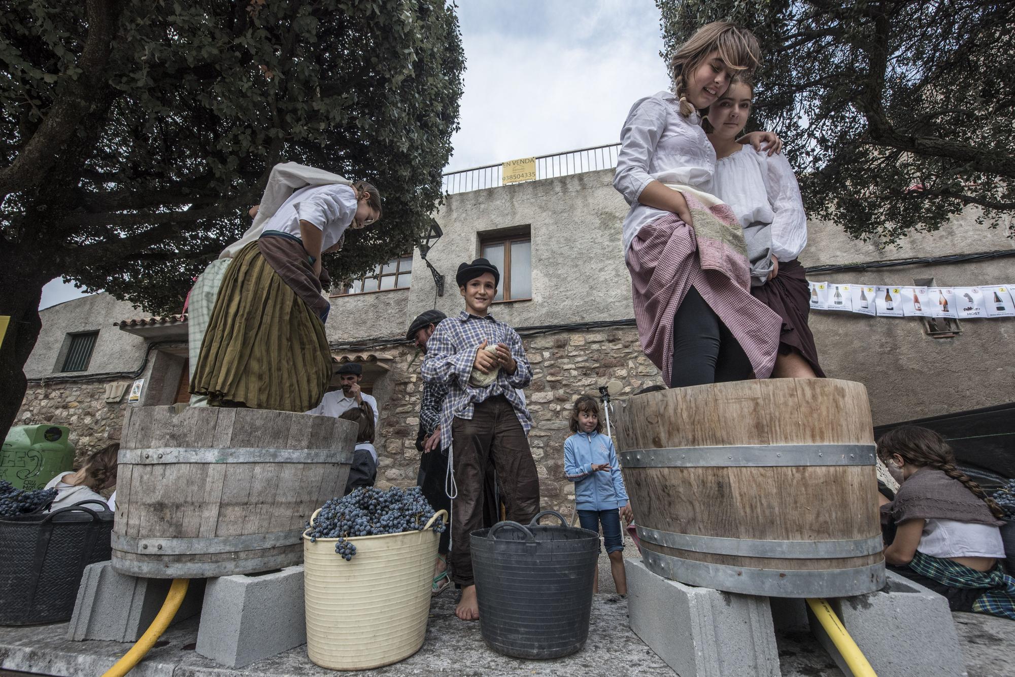 26a edició de la Festa de la Verema del Bages