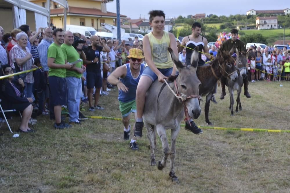 Carrera de burros en Pañeda