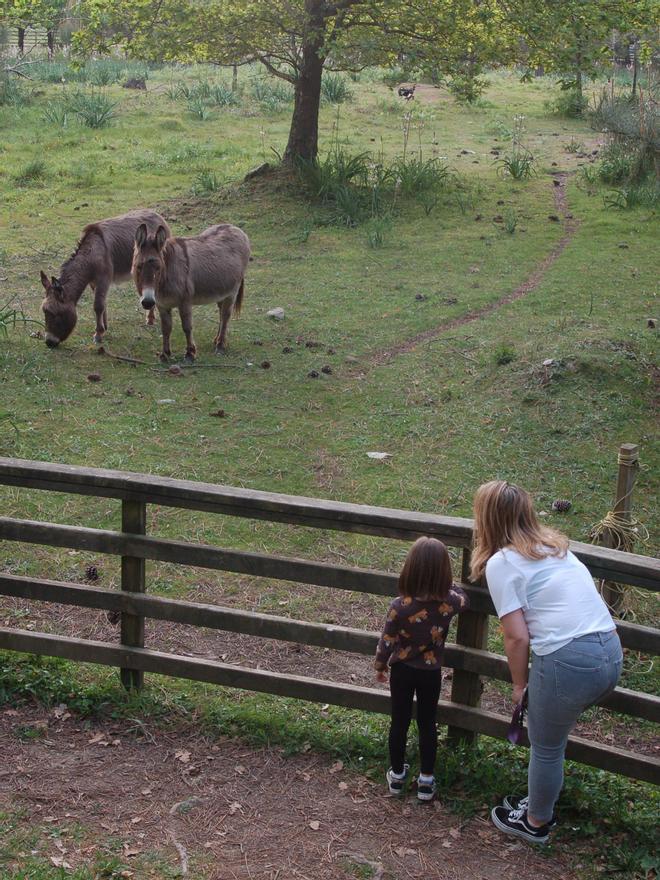 Una niña y su madre observan a dos de los animales.
