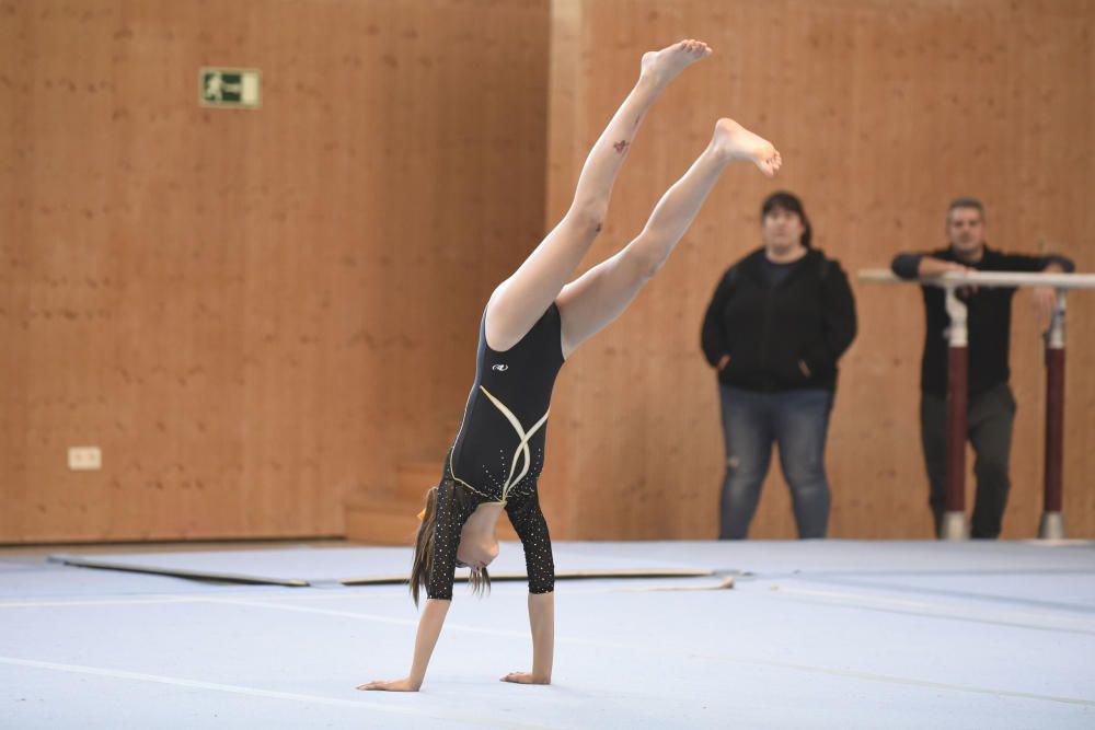 Manresa acull els Campionats de Catalunya Special Olympics de gimnàstica