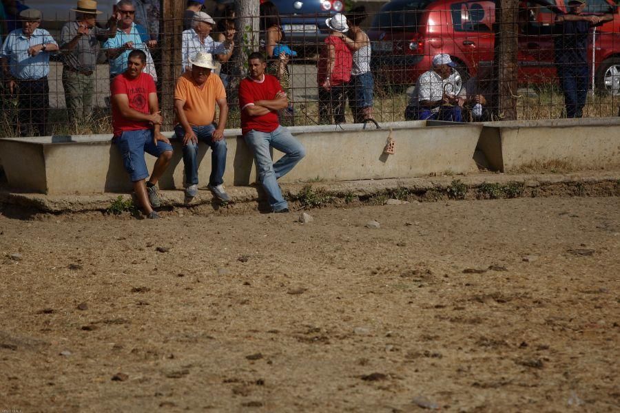 Fiestas en Zamora: Encierro en Venialbo