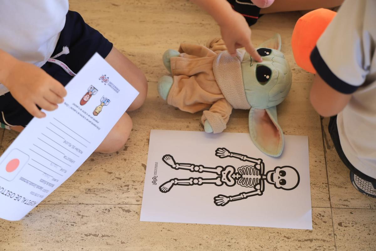 Estudiantes de Medicina de Alicante y Elche "pasan consulta" con los niños en el "I Hospital de Ositos"