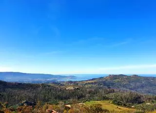 La UVigo estima el carbono almacenado en los bosques a partir de imágenes satelitales