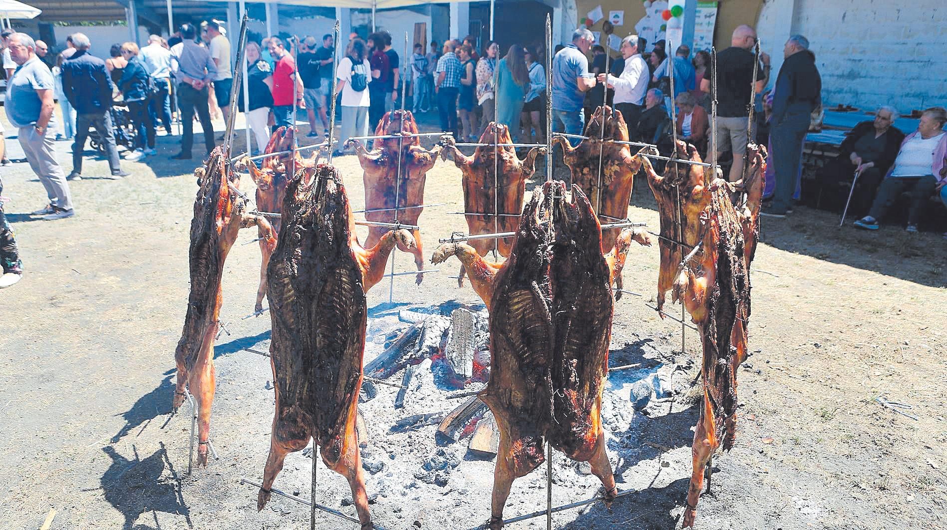 O prato forte do menú foron porcos asados ó espeto.