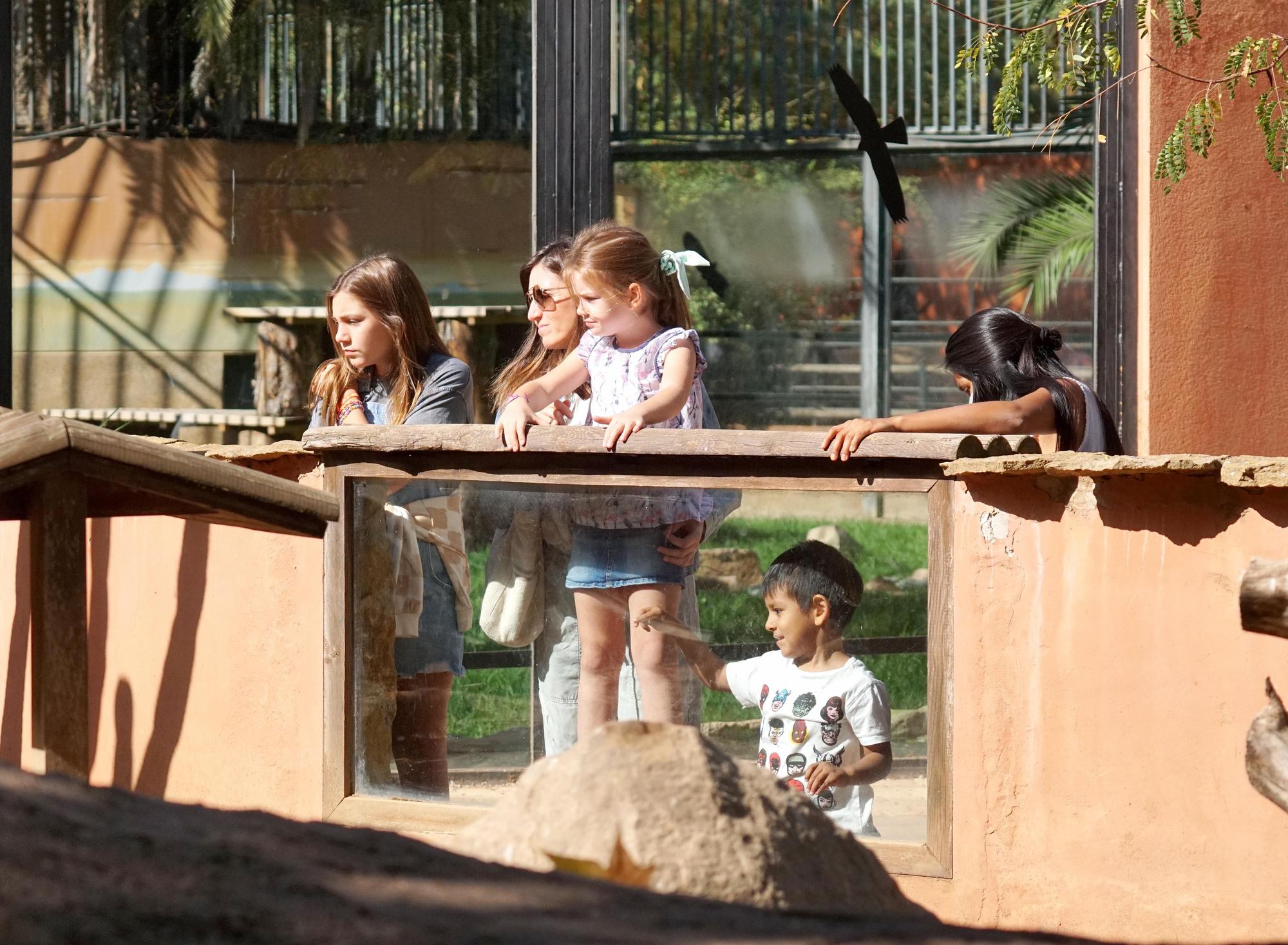 Día festivo en el Zoológico de Córdoba