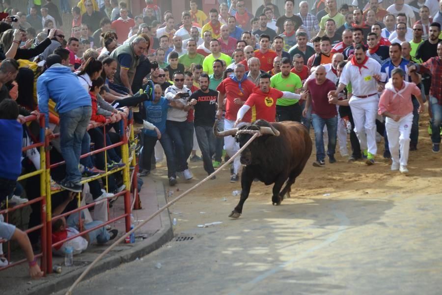 Enmaromado 2016: Así fue el Día Grande en Benavent