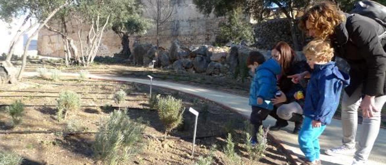 El primer botánico de la Safor abre en la Font