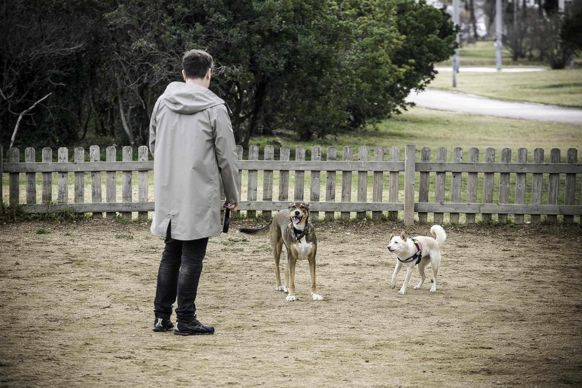 El parque para perros toma forma en Urbisur