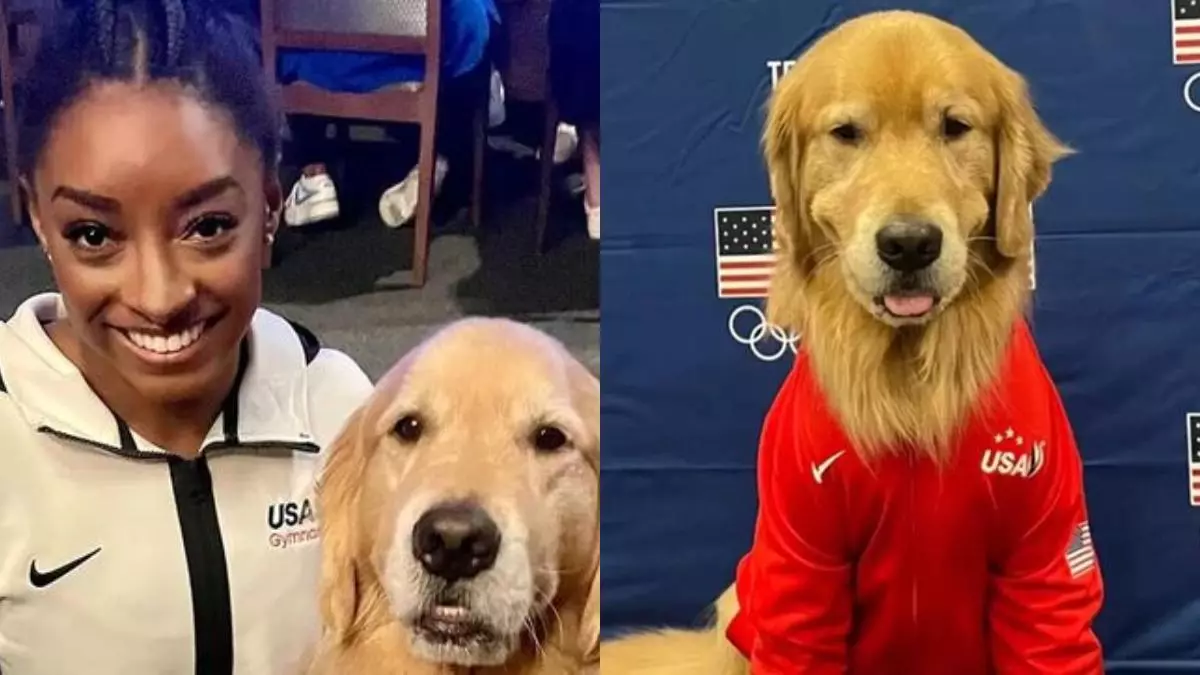 El icónico integrante de las gimnastas de USA se llama Beacon: el golden retriever que les ayuda con su salud mental