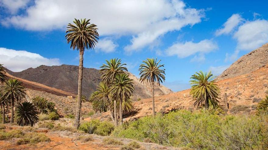 Imagen de la zona de la Madre del Agua, que se encuentra dentro de los límites de la Finca de Ajuy. | | LP/DLP