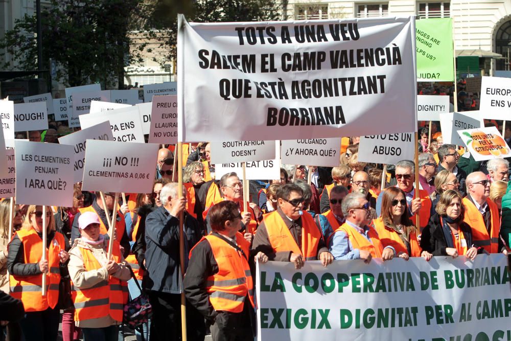 Manifestación en defensa del sector citrícola