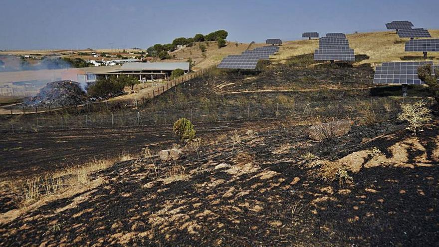Placas solares próximas a los terrenos afectados. | José Luis Fernández