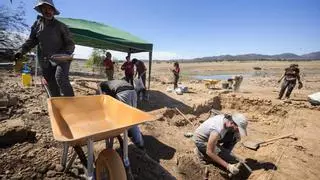 Dos guerreros enfrentados, claves para datar como íbero el yacimiento de Sierra Boyera