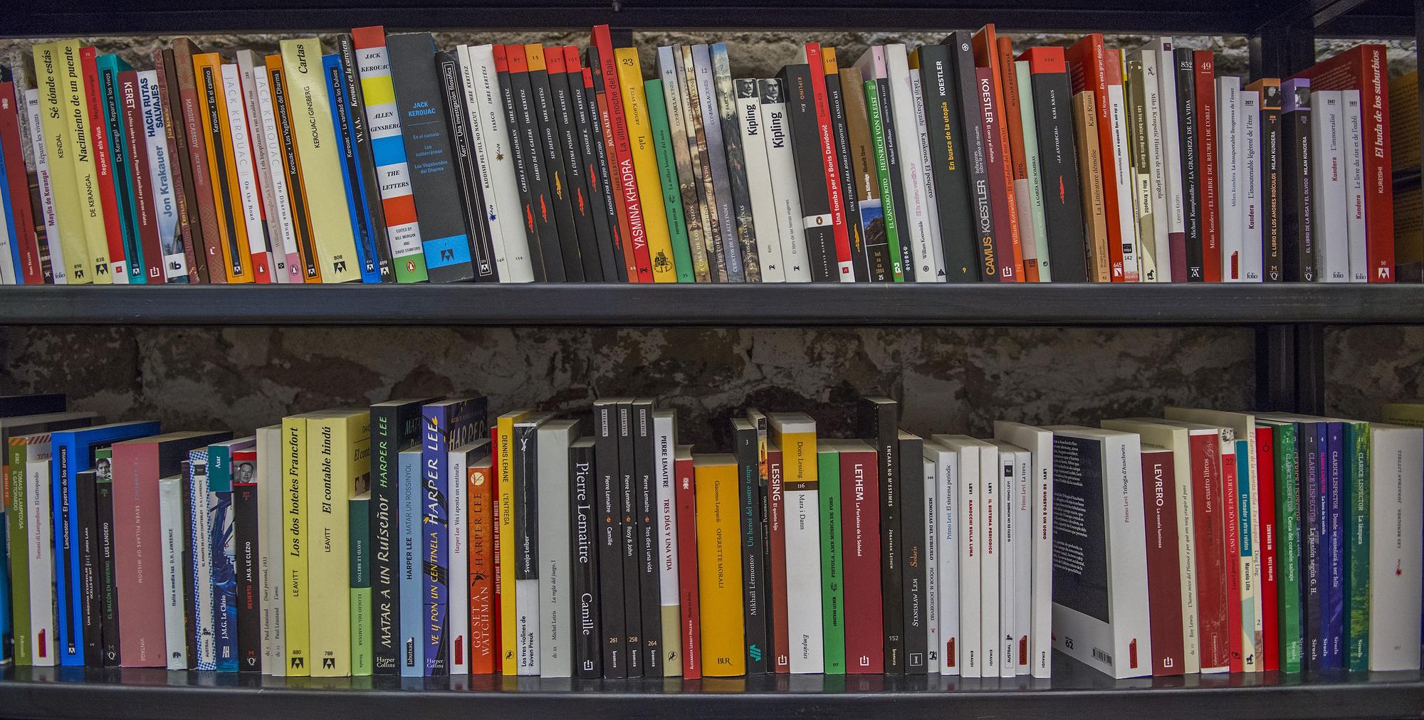 Consejos para clasificar y ordenar tus libros en la librería