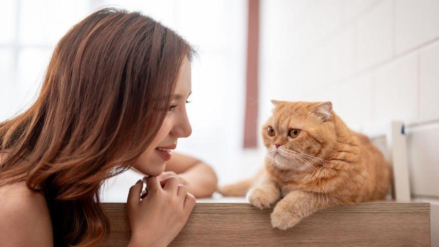 Hablarle a tu gato como a un bebé sí tiene un efecto real: lo confirma la ciencia