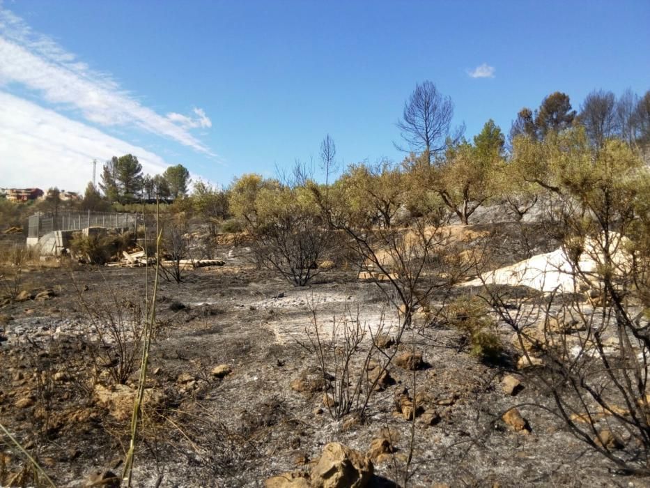 Paisaje que ha quedado en Bolbaite tras el paso del fuego.