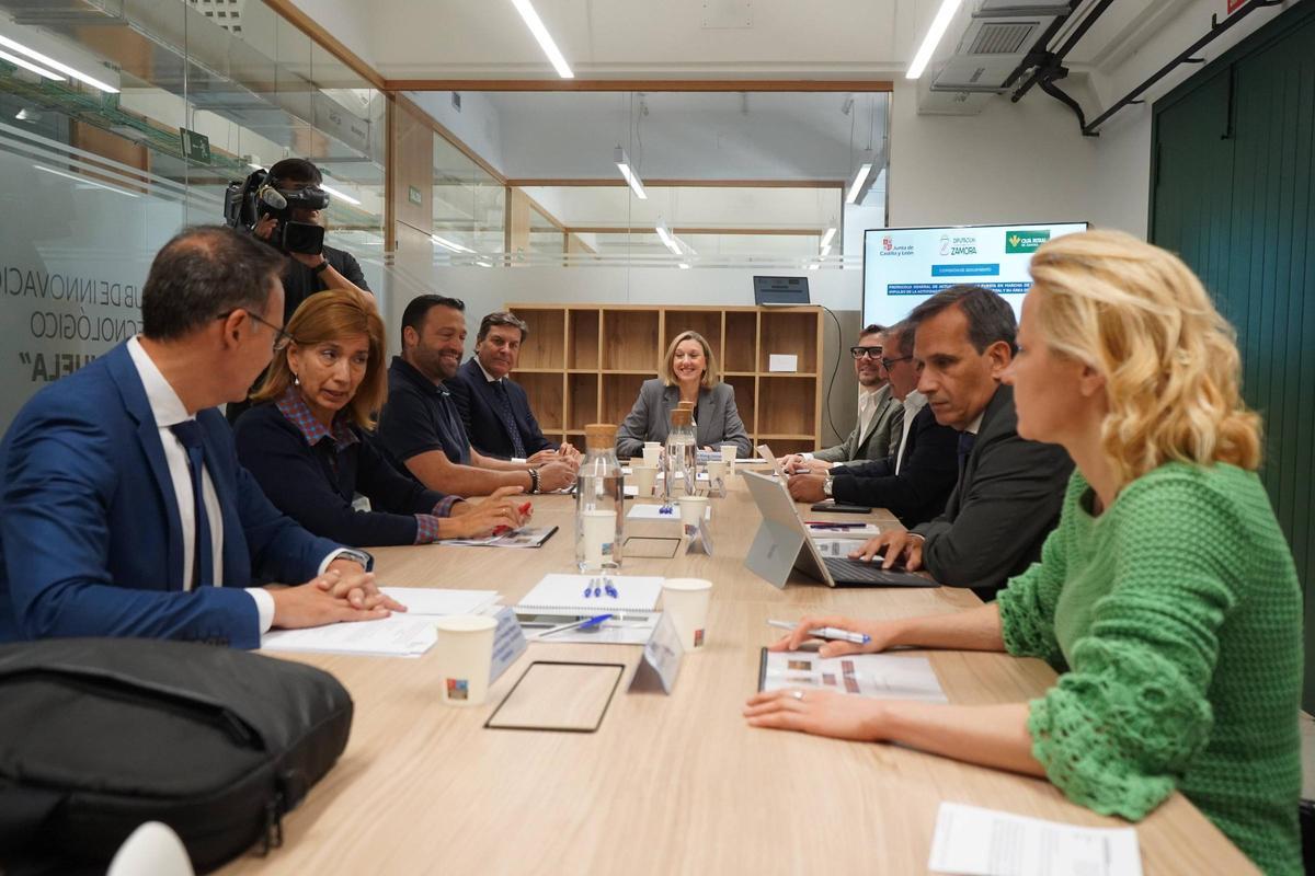 Reunión de seguimiento del Plan de Impulso a la Actividad Económica de Zamora.