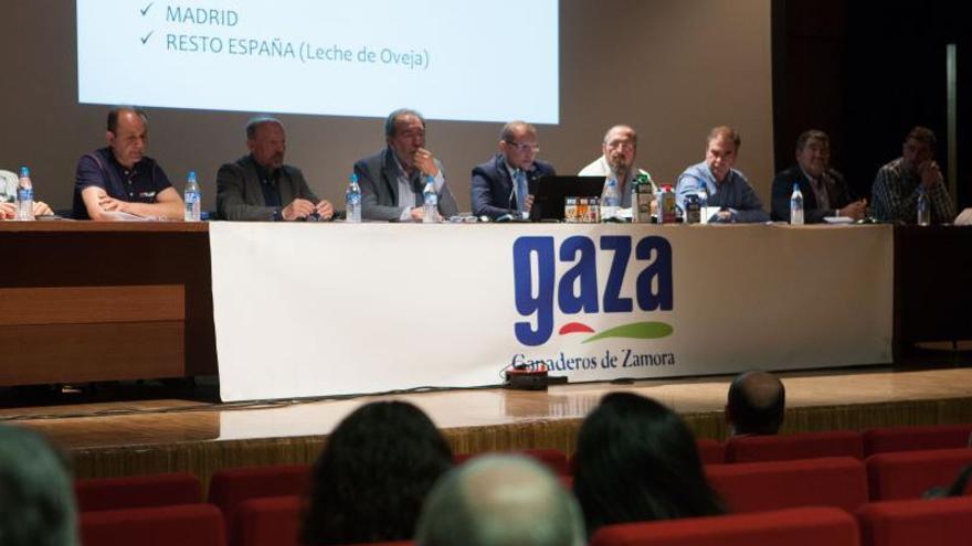 Asamblea de Gaza.