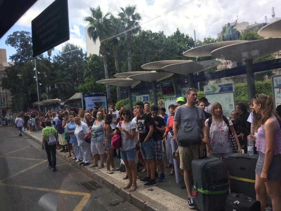 Largas colas para conseguir taxis o autobús en Palma