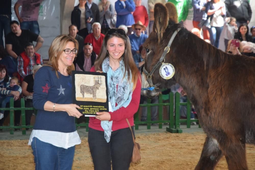 Feria del Burro y romería en San Vitero de Aliste