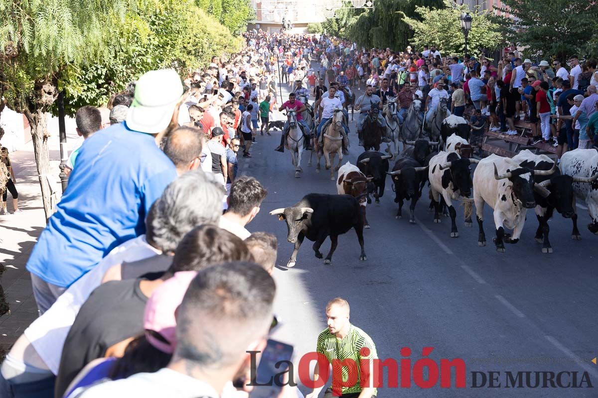 Último encierro en las Fiestas de Moratalla