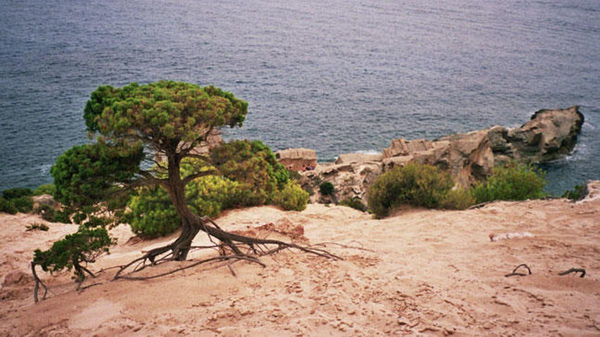 The sandy end of the Sa Pedrera descent.