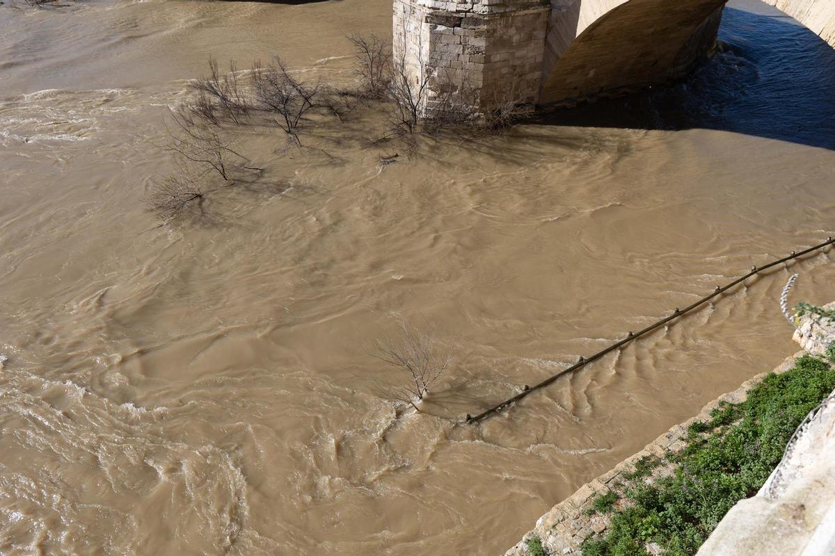 En imágenes I Árboles caídos en Zaragoza y parques cerrados por el viento
