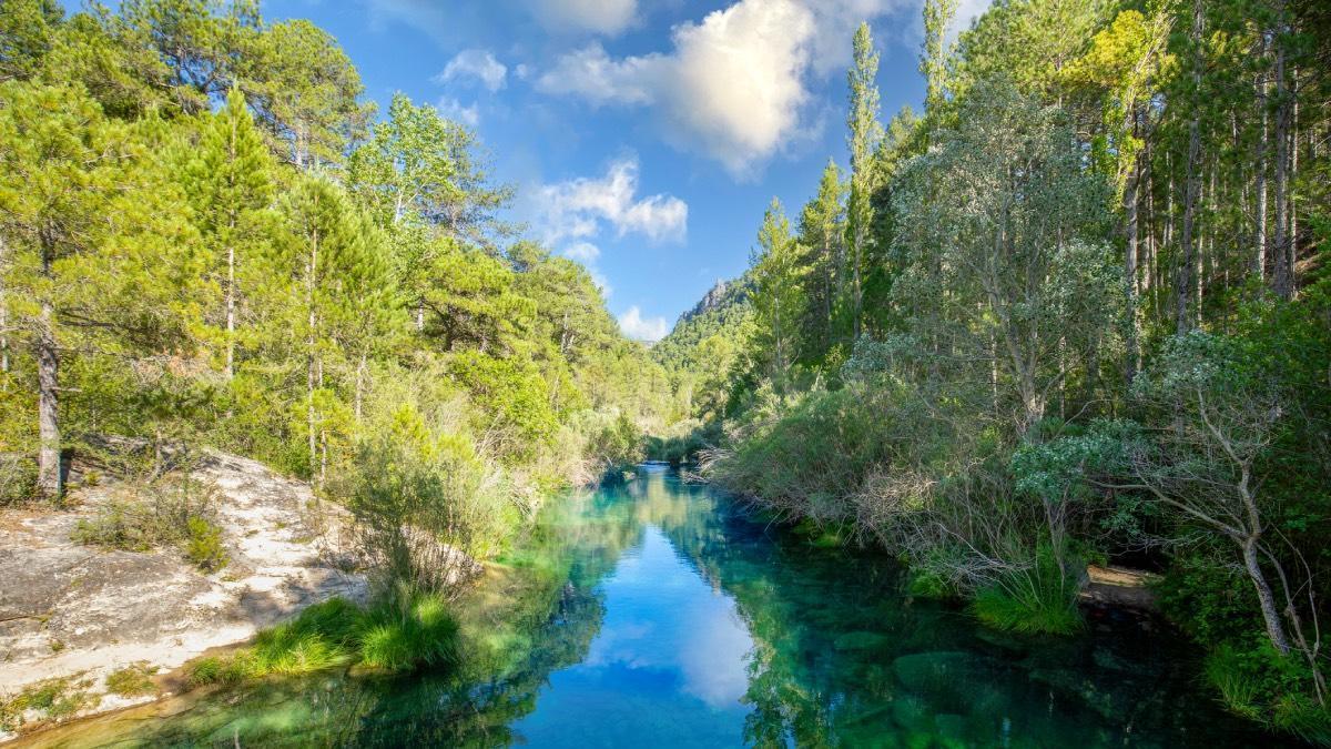 El rincón de Guadalajara donde el Tajo se convierte en una piscina natural de agua cristalina perfecta para huir del calor este verano