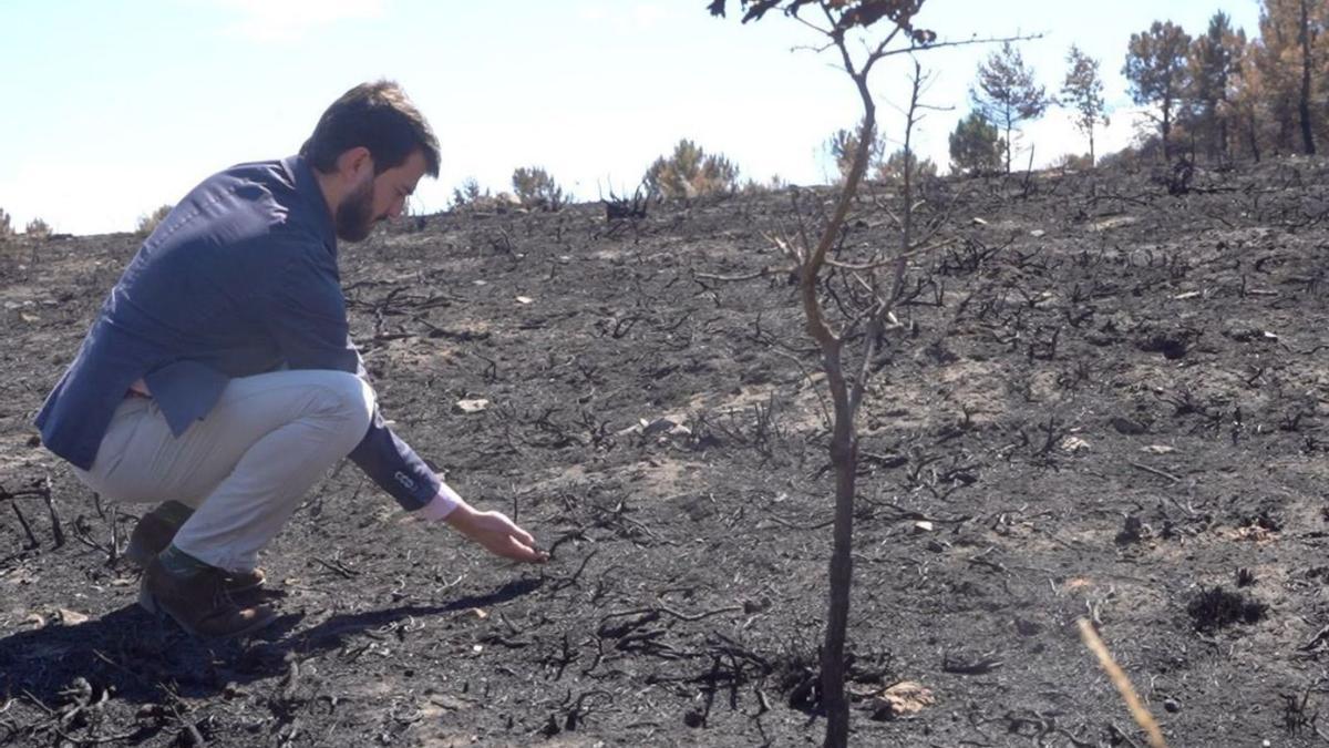 El vicepresidente Juan García-Gallardo en la Sierra de la Culebra. | RRSS