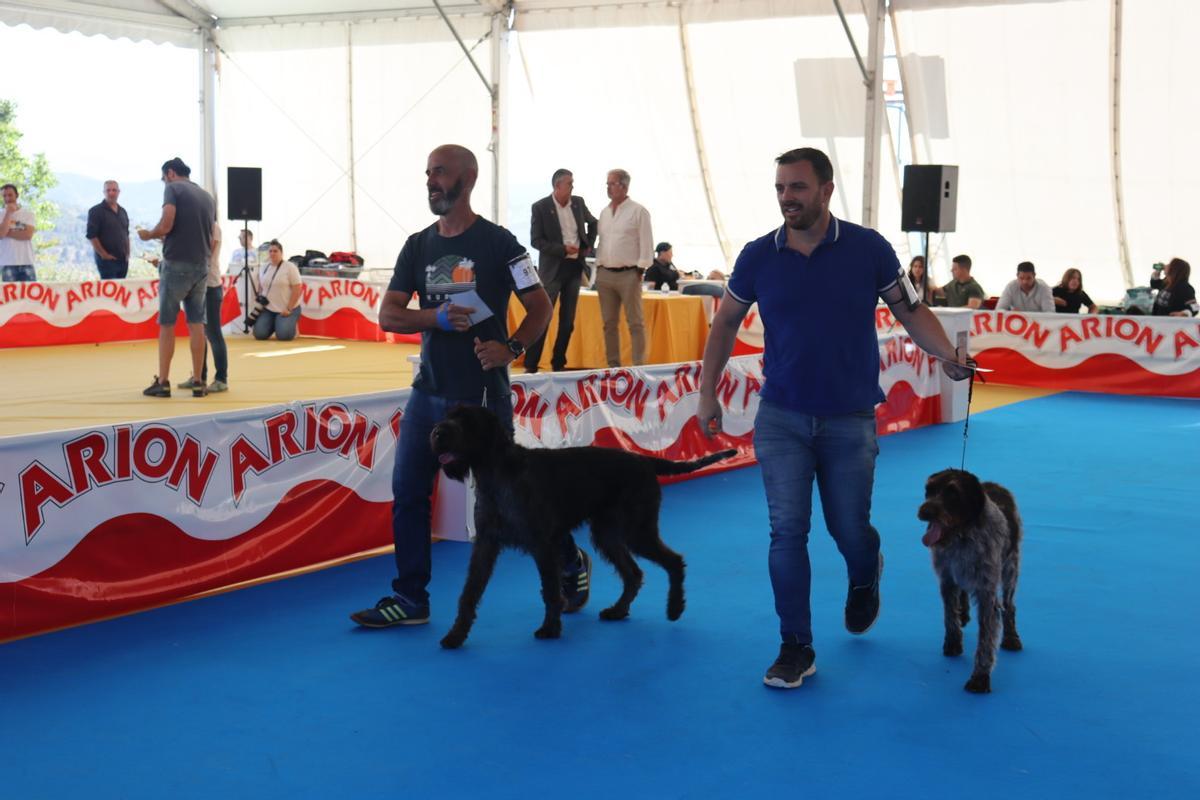 Feria del Perro de Archidona de 2024