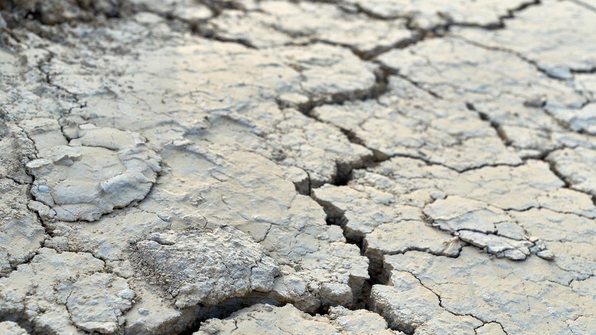 La falta de agua en Andalucía es un riesgo real