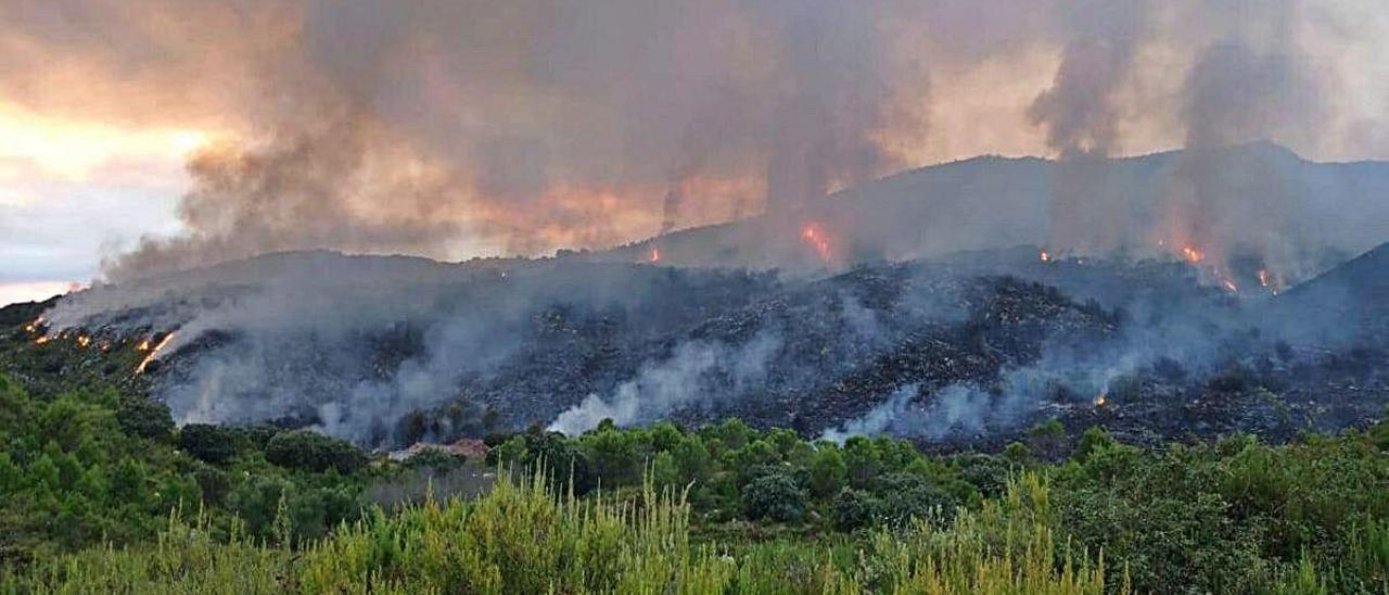 Las llamas consumen parte de una ladera de la Vall de Gallinera, ayer.