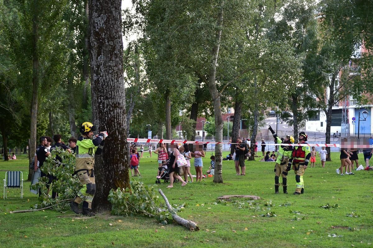 Caída de ramas en el parque de La Isla de Plasencia, a finales de junio.
