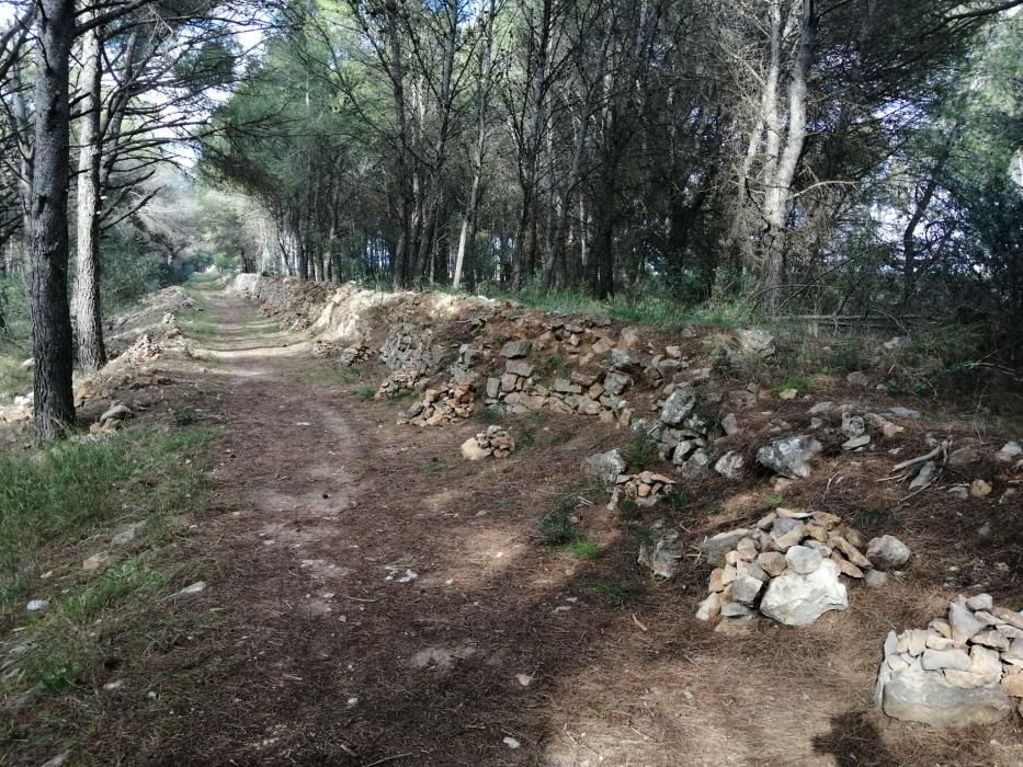 Robatori a les parets de pedra seca de l'Escala