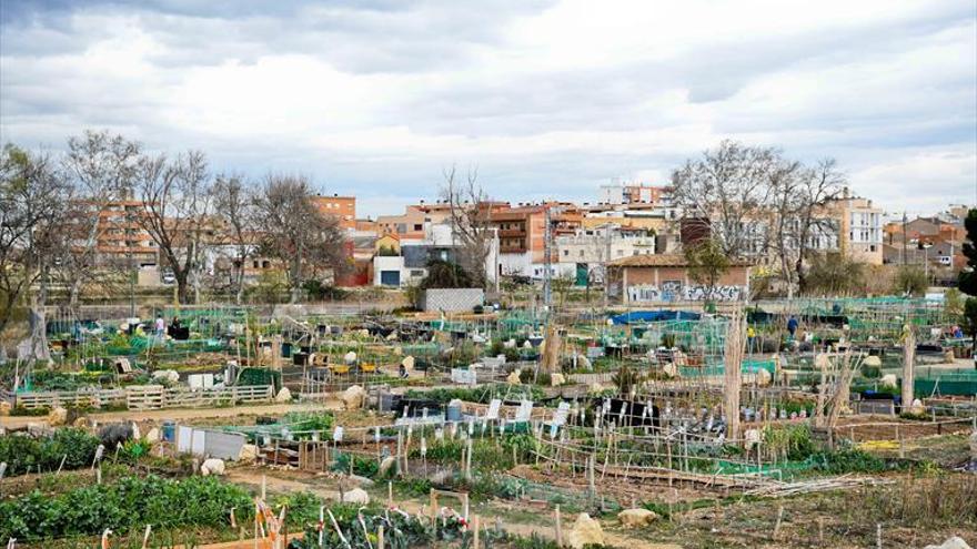 ZeC rechaza una ayuda europea para crear más huertos urbanos