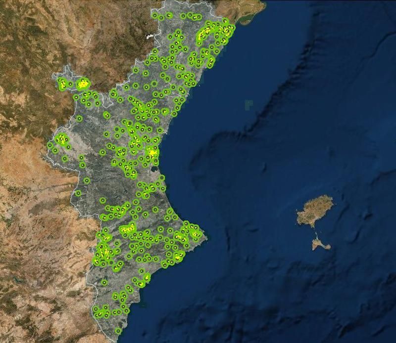 Árboles monumentales Valencia: Cuántos hay y dónde están