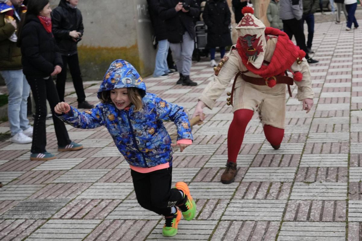 GALERÍA | La Vaquilla y los Cencerros reviven el antruejo más tradicional en Palacios del Pan