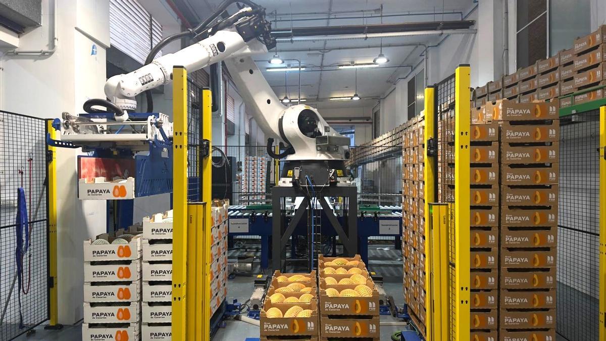 Grupo FSM: 65 años innovando con Canarias, por Canarias y para Canarias