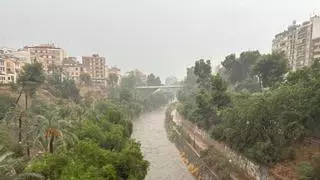 La lluvia obliga a refugiarse en cafeterías y comercios con zonas que han superado los 50 litros descargados en Elche