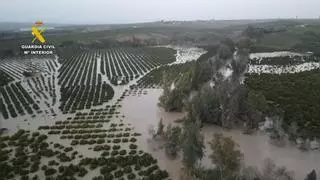 La economía andaluza, devastada por el temporal: cierre de negocios, pérdida de ventas, caída del turismo y campos arrasados